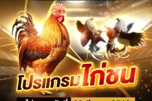 โปรแกรมไก่ชน 08 มีนาคม 2568