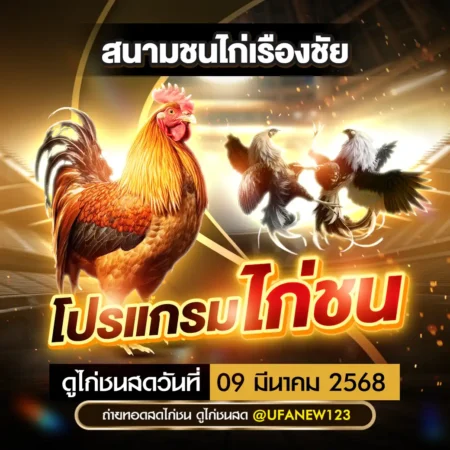 โปรแกรมไก่ชน 09 มีนาคม 2568