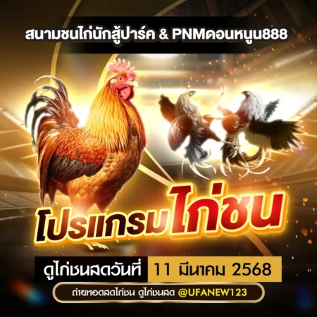 โปรแกรมไก่ชน 11 มีนาคม 2568