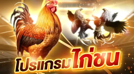 โปรแกรมไก่ชน 16 มีนาคม 2568