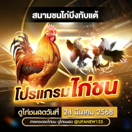 โปรแกรมไก่ชน 24 มีนาคม 2568