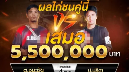 เทปไก่ชน ต.ชนะชัย VS ป.ปริดา 26 เมษายน 2568