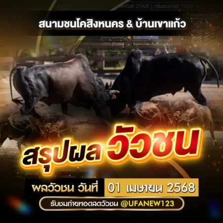 ผลวัวชน 01 เมษายน 2568