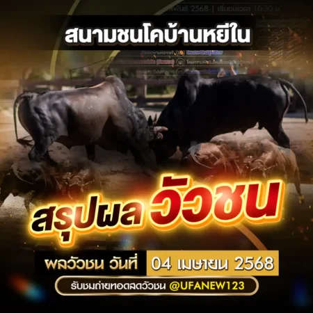 ผลวัวชน 04 เมษายน 2568