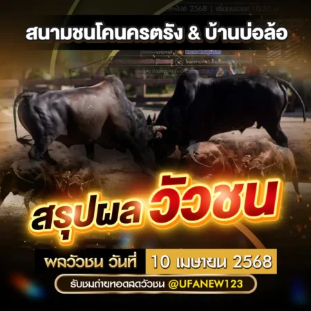 ผลวัวชน 10 เมษายน 2568