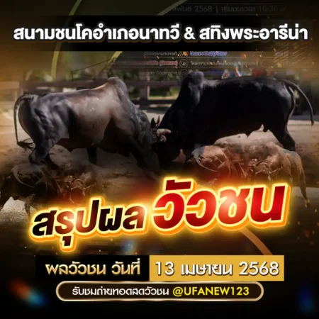 ผลวัวชน 13 เมษายน 2568
