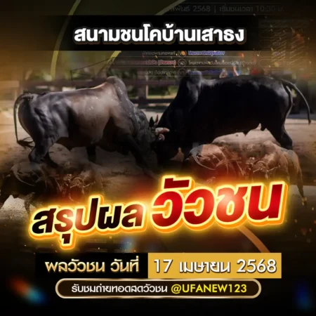 ผลวัวชน 17 เมษายน 2568