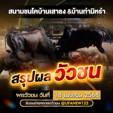 ผลวัวชน 18 เมษายน 2568