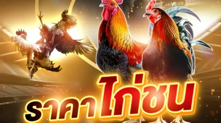 ราคาไก่ชน 13 เมษายน 2568
