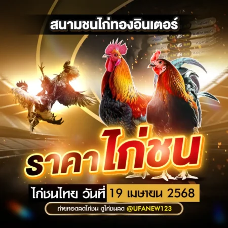 ราคาไก่ชน 19 เมษายน 2568