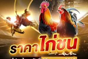 ราคาไก่ชน 27 เมษายน 2568