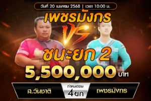 เทปไก่ชน ส.วันชาติ VS เพชรมังกร 20 เมษายน 2568