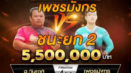 เทปไก่ชน ส.วันชาติ VS เพชรมังกร 20 เมษายน 2568