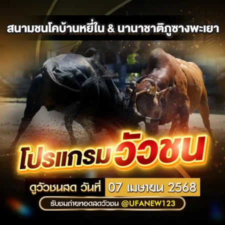โปรแกรมวัวชน 07 เมษายน 2568