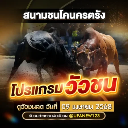 โปรแกรมวัวชน 09 เมษายน 2568