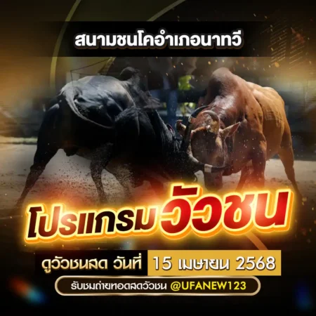 โปรแกรมวัวชน 15 เมษายน 2568