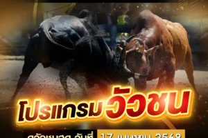 โปรแกรมวัวชน 17 เมษายน 2568