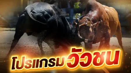 โปรแกรมวัวชน 21 เมษายน 2568