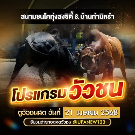 โปรแกรมวัวชน 21 เมษายน 2568