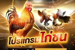 โปรแกรมไก่ชน 13 เมษายน 2568