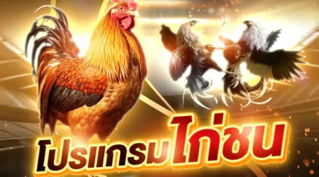 โปรแกรมไก่ชน 13 เมษายน 2568