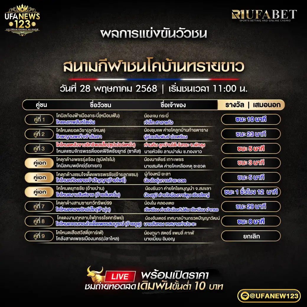 สรุปผลวัวชน สนามชนโคบ้านทรายขาว 28 พฤษภาคม 2568