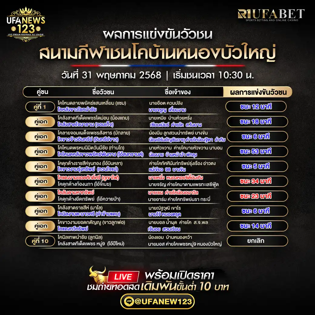สรุปผลวัวชน สนามกีฬาชนโคบ้านหนองบัวใหญ่  31 พฤษภาคม 2568