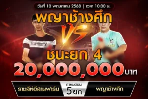 เทปไก่ชน ราชสีห์อีสานฟาร์ม VS พญาช้างศึก 10 พฤษภาคม 2568