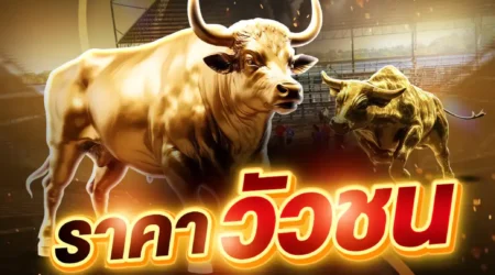 ราคาวัวชน 13 พฤษภาคม 2568