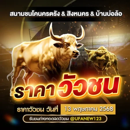 ราคาวัวชน 13 พฤษภาคม 2568