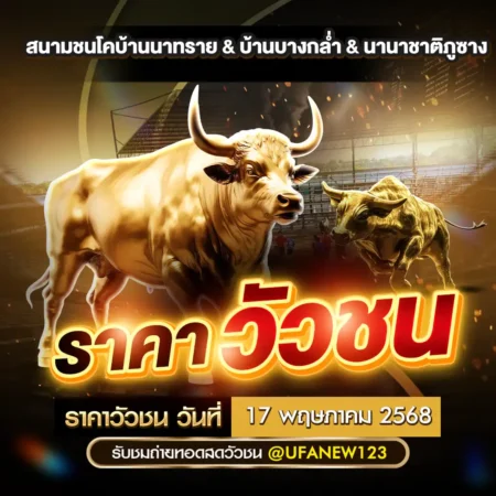 ราคาวัวชน 17 พฤษภาคม 2568