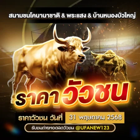 ราคาวัวชน 31 พฤษภาคม 2568