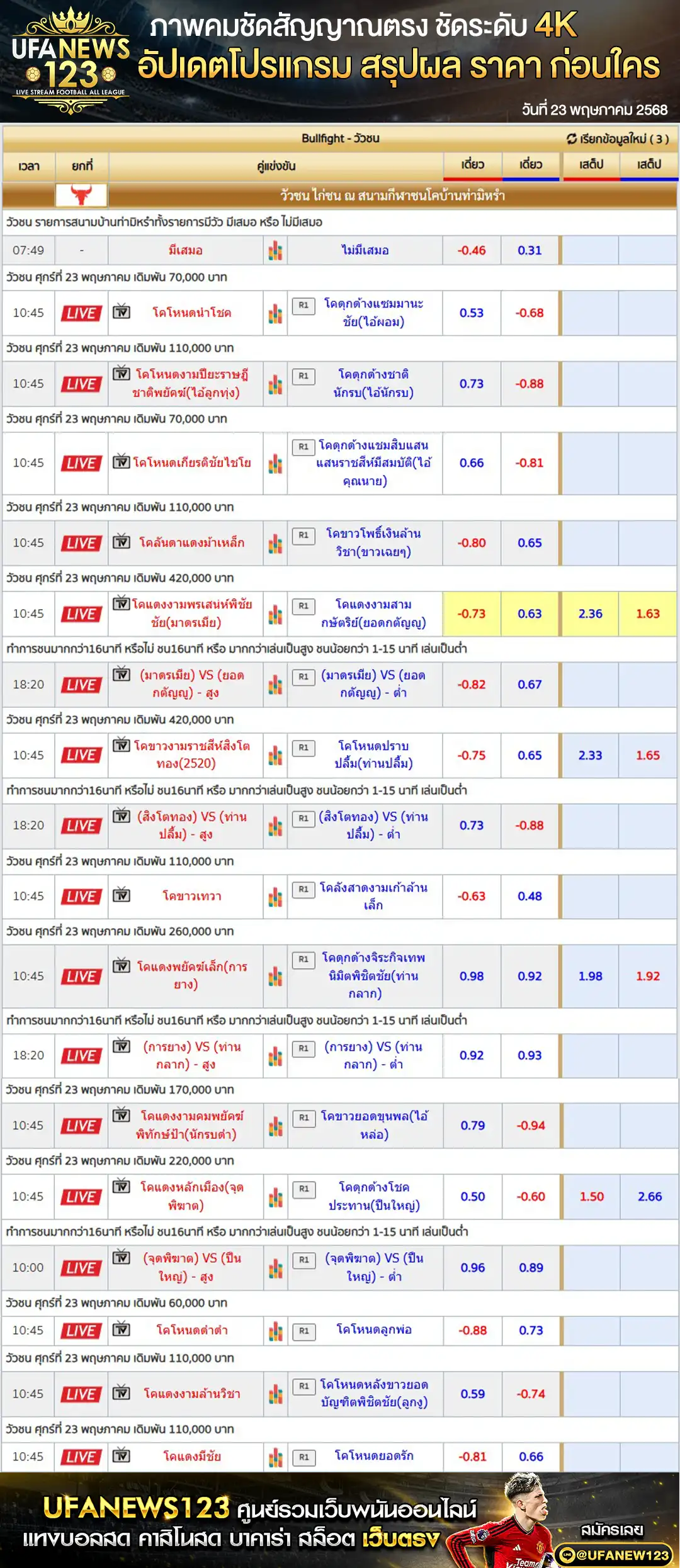 ราคาวัวชน สนามชนโคบ้านท่ามิหรำ เริ่มชนเวลา 10.45 น. 23 พฤษภาคม 2568