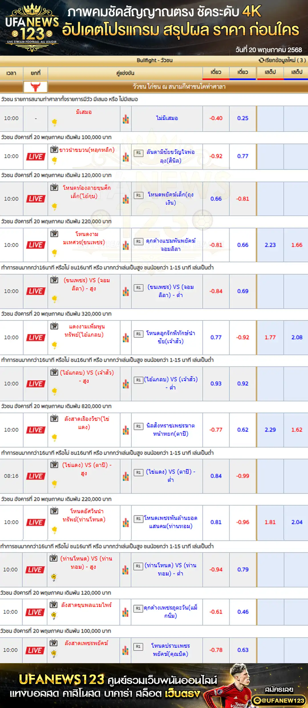 ราคาวัวชน สนามกีฬาชนโคบ้านท่าศาลา เริ่มเวลา 10:00 น. 20 พฤษภาคม 2568