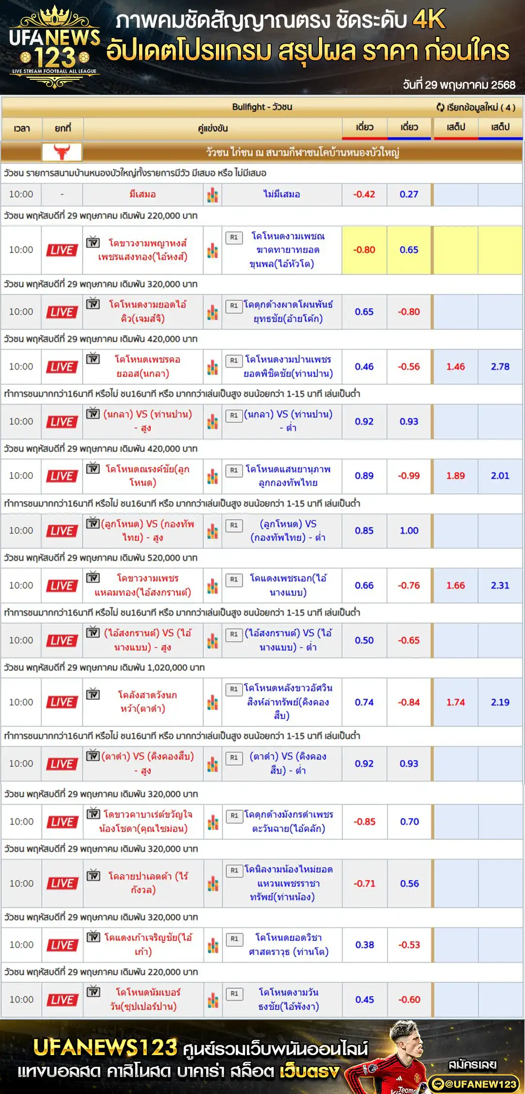 ราคาวัวชน สนามชนโคบ้านหนองบัวใหญ่ เริ่มชนเวลา 10.30 น. 29 พฤษภาคม 2568