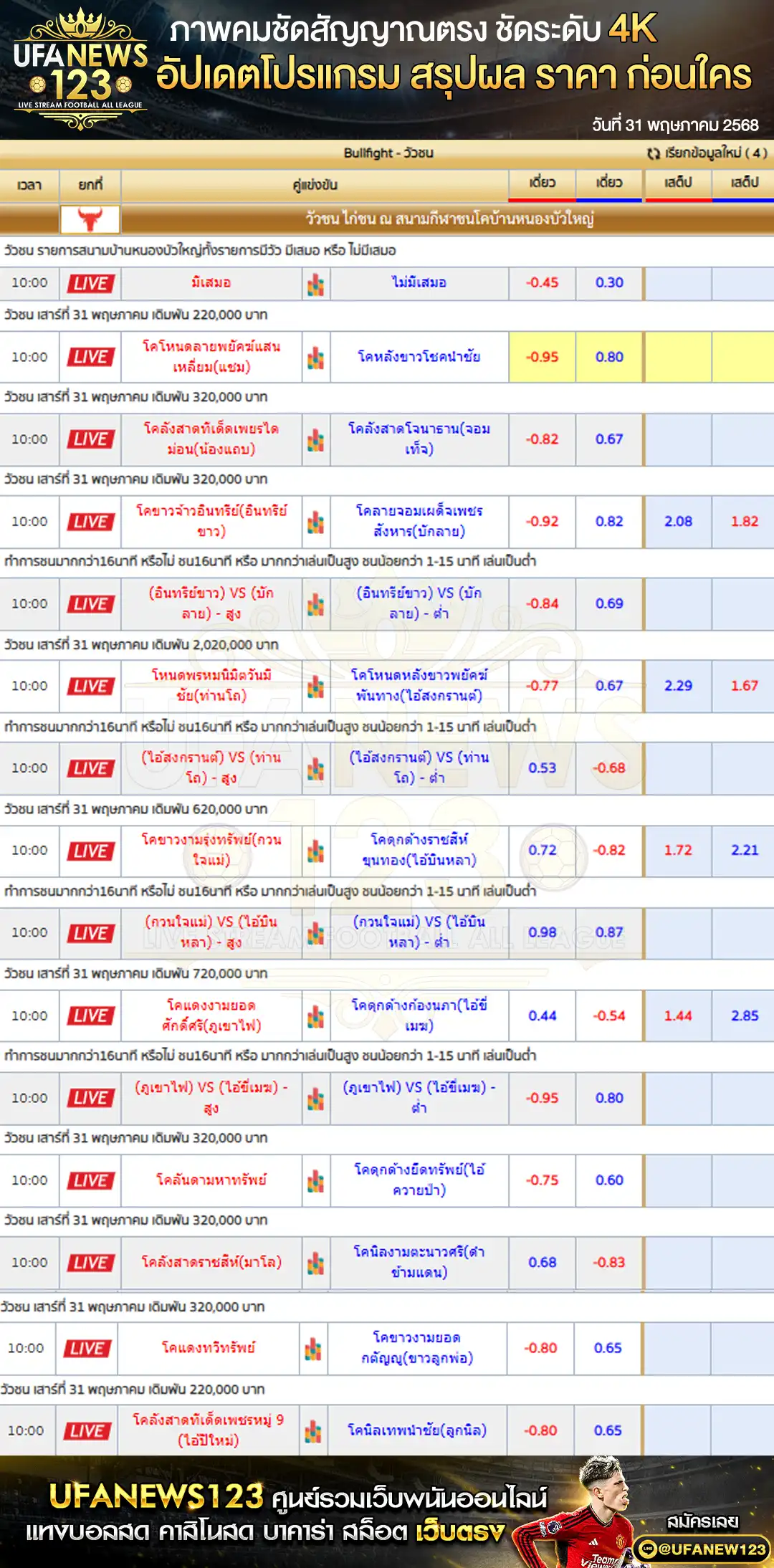 ราคาวัวชน สนามกีฬาชนโคบ้านหนองบัวใหญ่ เริ่มชนเวลา 10:30 น. 31 พฤษภาคม 2568