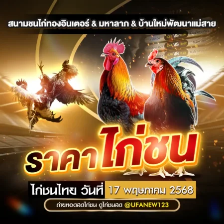 ราคาไก่ชน 17 พฤษภาคม 2568