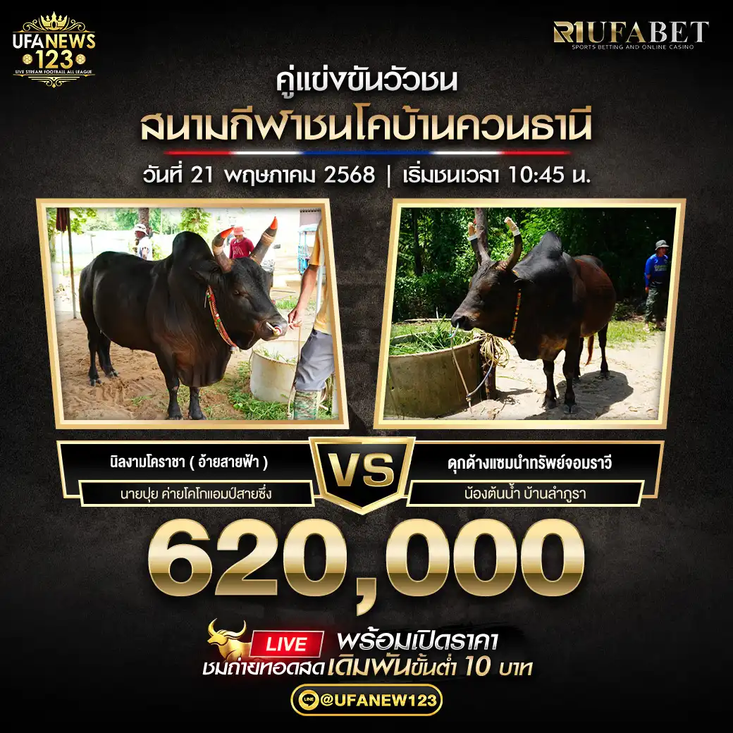 ลังสาดเพชรทองคำ (อ้ายรักเกียรติ) VS ดุกด้างแซมเพชรแซมชั่น (บักแซม) ชิงรางวัล 620,000 บาท 21 พฤษภาคม 2568