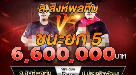 เทปไก่ชน ส.สิงห์พลทีม VS ป.ประเสริฐพัฒนา 31 พฤษภาคม 2568