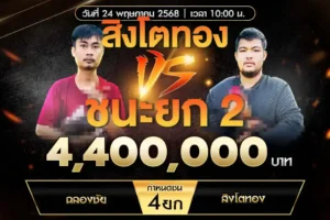 เทปไก่ชน ฉลองชัย VS สิงโตทอง 24 พฤษภาคม 2568