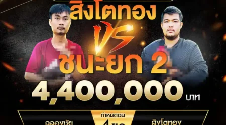 เทปไก่ชน ฉลองชัย VS สิงโตทอง 24 พฤษภาคม 2568