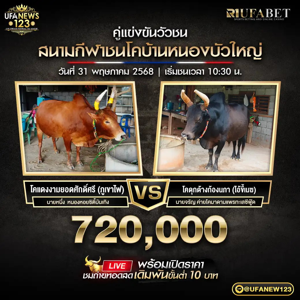 โคแดงงามยอดศักดิ์ศรี (ภูเขาไฟ) VS โคดุกด้างก้องนภา (ไอ้ขี้เมฆ) ชิงรางวัล 720,000 บาท 31 พฤษภาคม 2568