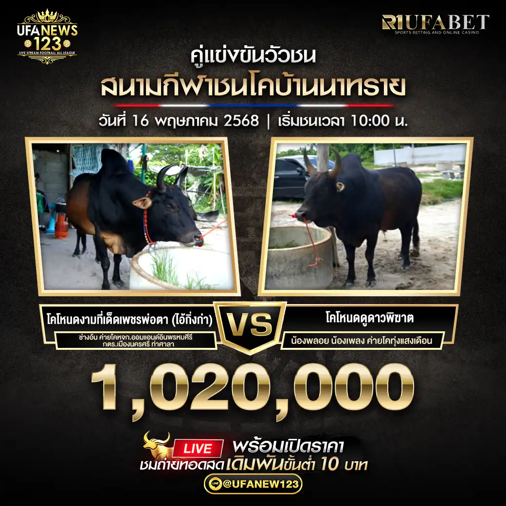 โคโหนดงามที่เด็ดเพชรพ่อตา (ไอ้กิ่งก่า) VS โคโหนดดูดาวพิฆาต ชิงรางวัล 1,020,000 บาท 16 พฤษภาคม 2568