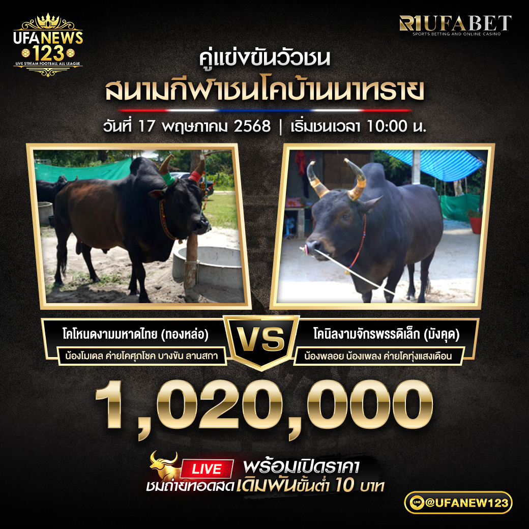 โคโหนดงามมหาดไทย (ทองหล่อ) VS โคนิลงามจักรพรรดิเล็ก (มังคุด) ชิงรางวัล 1,020,000 บาท 17 พฤษภาคม 2568