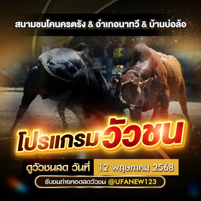 โปรแกรมวัวชน 12 พฤษภาคม 2568