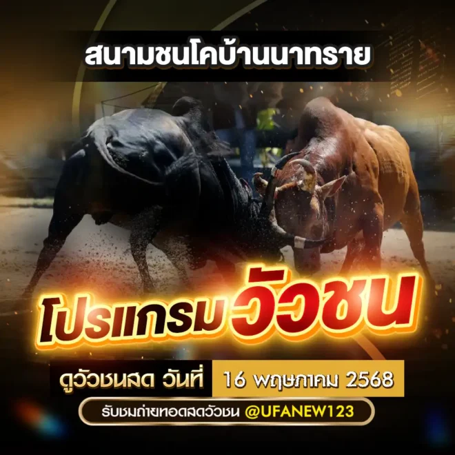 โปรแกรมวัวชน 16 พฤษภาคม 2568