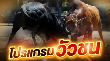โปรแกรมวัวชน 28 พฤษภาคม 2568