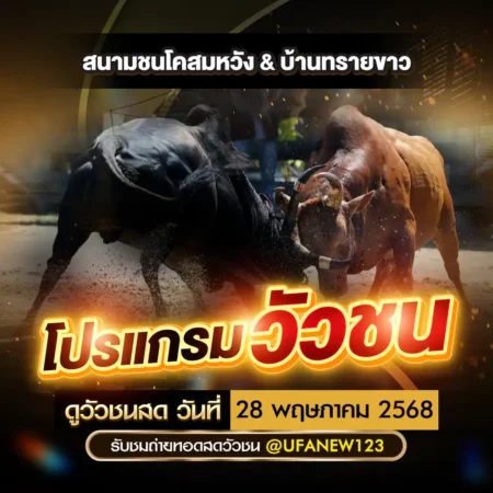 โปรแกรมวัวชน 28 พฤษภาคม 2568