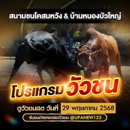 โปรแกรมวัวชน 29 พฤษภาคม 2568