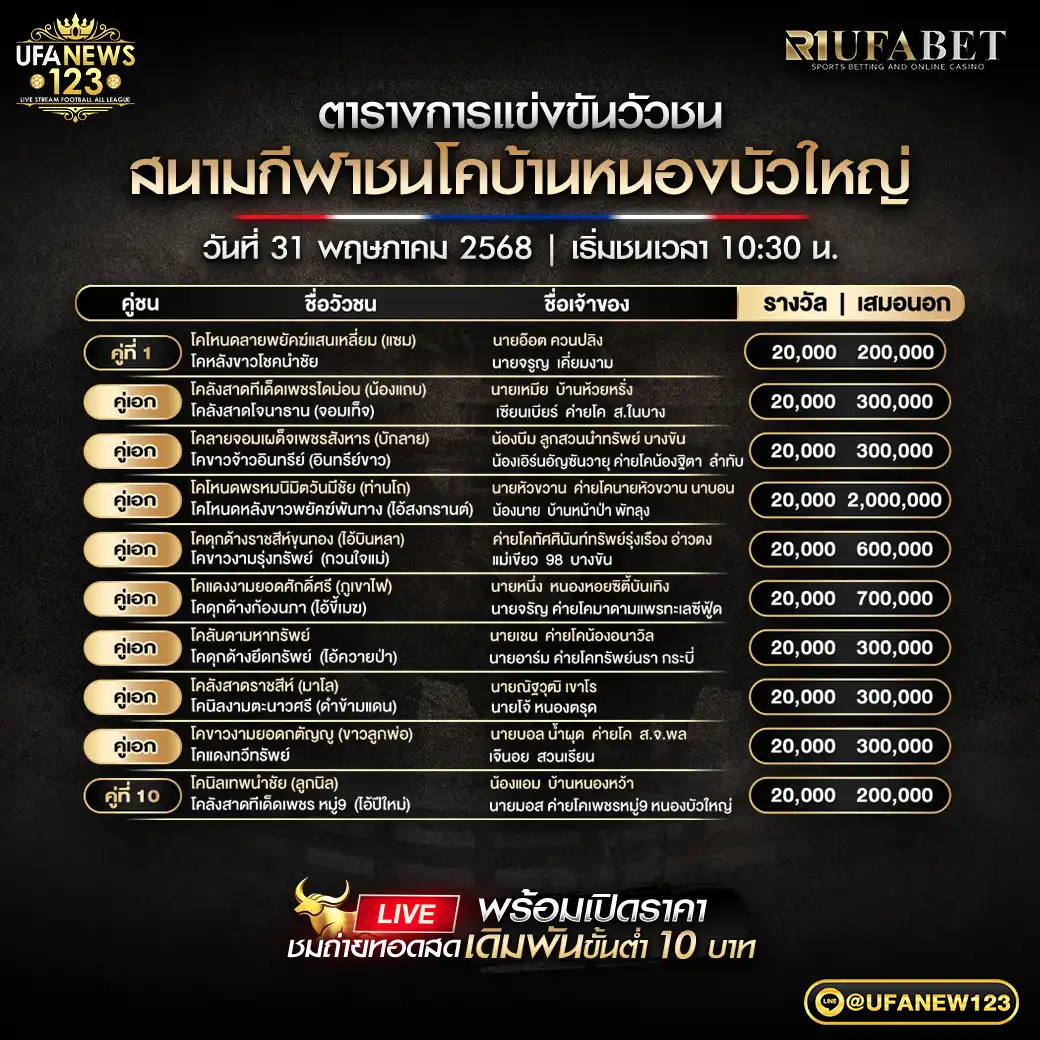 โปรแกรมวัวชน สนามกีฬาชนโคบ้านหนองบัวใหญ่ เริ่มชนเวลา 10.30 น. 31 พฤษภาคม 2568